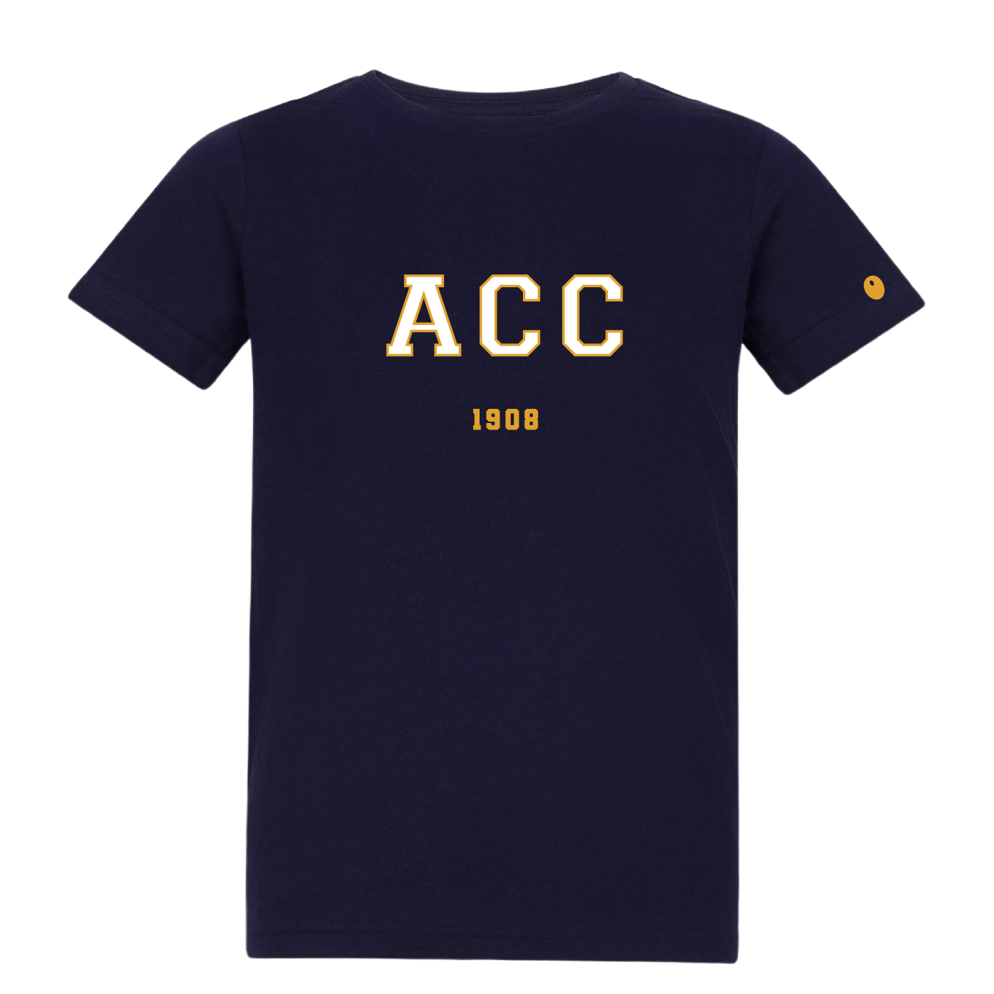 Alveley CC T-Shirt - Navy